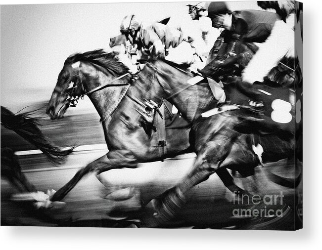 Horse Acrylic Print featuring the photograph Horse Racing #1 by Dimitar Hristov