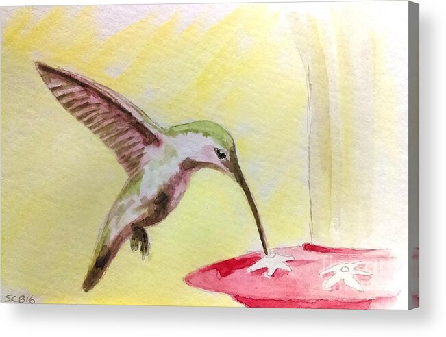 Hummingbird Acrylic Print featuring the painting Hummingbird #1 by Stacy C Bottoms