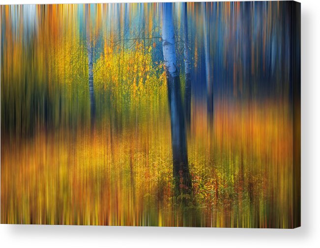 Autumn Acrylic Print featuring the photograph In the Golden Woods. Impressionism #2 by Jenny Rainbow