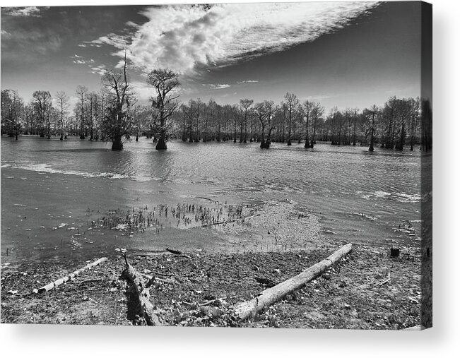 Infrared Acrylic Print featuring the photograph Lake Bistineau #2 by Jim Cook