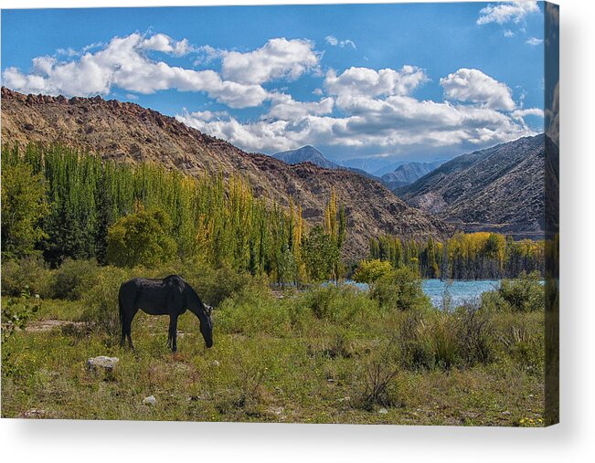 Landscape Acrylic Print featuring the photograph Lake Portrerillos, Mendoza, Argentina #1 by Robert McKinstry