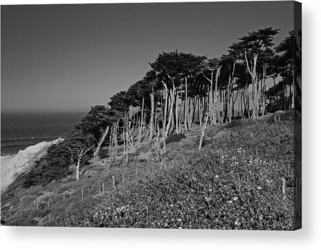 San Francisco Acrylic Print featuring the photograph Lands End in San Francisco #1 by Michiale Schneider