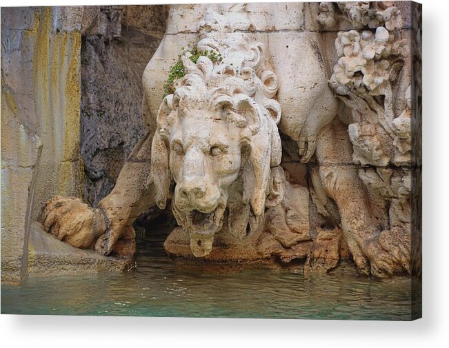 Bernini Acrylic Print featuring the photograph Lion In The Fountain by JAMART Photography