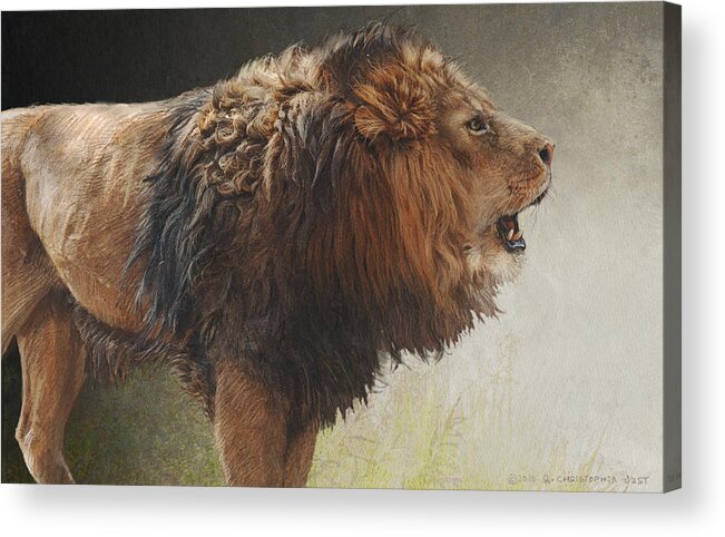Africa Acrylic Print featuring the photograph Lion Portrait #1 by R christopher Vest