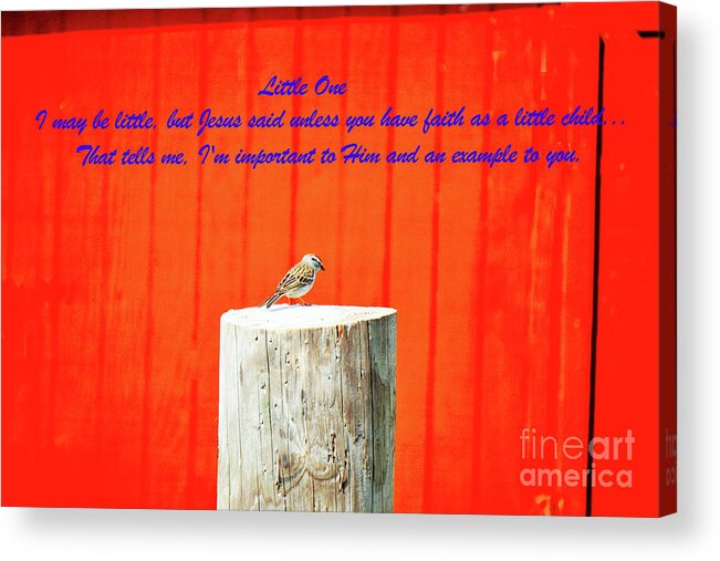 Bird Acrylic Print featuring the photograph Little One by Merle Grenz