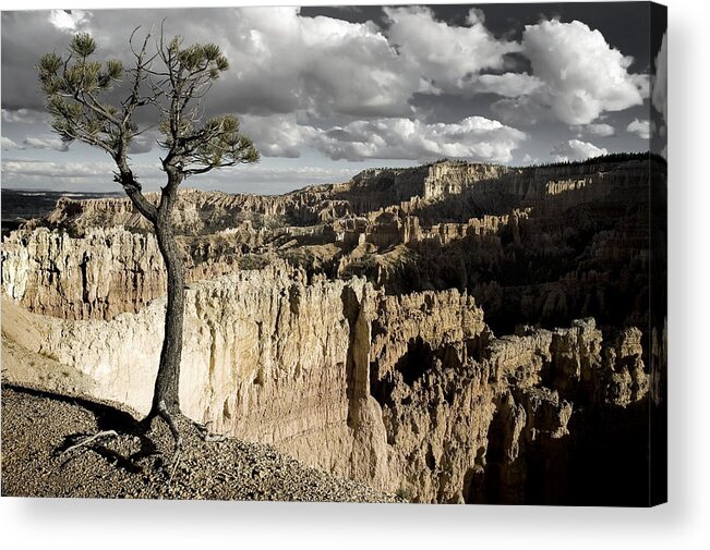 bryce Canyon Acrylic Print featuring the photograph Lone Tree Canyon #1 by Mike Irwin