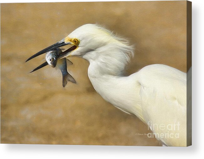 Egret Acrylic Print featuring the painting Lunch Is Served #2 by Deborah Benoit