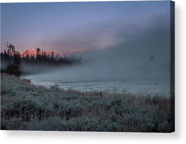 Fog Acrylic Print featuring the photograph Morning on the Madison River by Jen Manganello