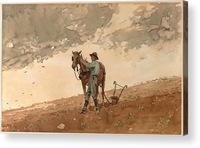 Winslow Homer Acrylic Print featuring the drawing Man with Plow Horse by Winslow Homer