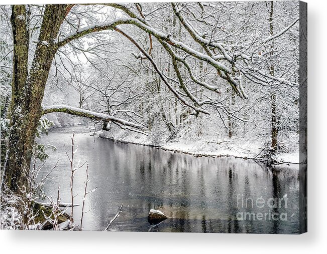Cranberry River Acrylic Print featuring the photograph March Snow along Cranberry River #1 by Thomas R Fletcher