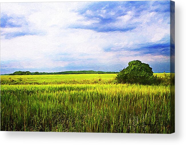Photo Acrylic Print featuring the photograph Marshland Storm 2 #1 by Alan Hausenflock