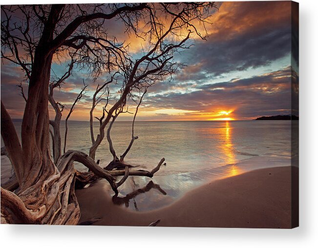 Maui Hawaii Sunset Oluwalu Clouds Ocean Seascape Tree Acrylic Print featuring the photograph Maui Magic #1 by James Roemmling