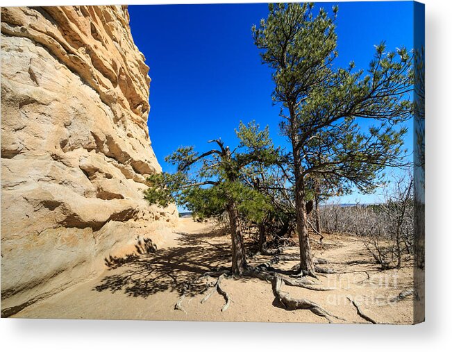 City Acrylic Print featuring the photograph Monument Rock and some Hardy Trees #1 by Richard Smith