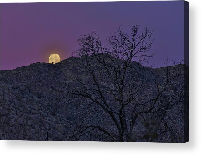 Full Acrylic Print featuring the photograph Moon set at sunrise by Gaelyn Olmsted