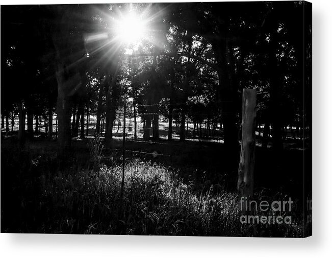 B&w Photography Acrylic Print featuring the photograph Morning Shadows #2 by Diana Mary Sharpton