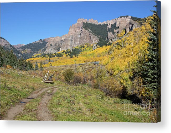 Colorado Aspen Landscape Acrylic Print featuring the photograph Mountain Home by Jim Garrison