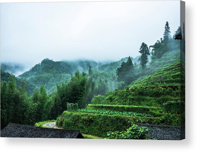 Scenery Acrylic Print featuring the photograph Mountains scenery in the mist #1 by Carl Ning