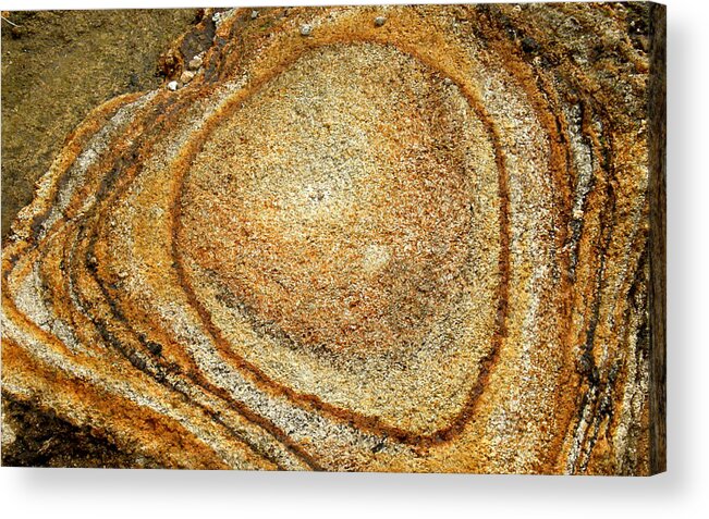 Nature Acrylic Print featuring the photograph Nature Rings #1 by Amarildo Correa