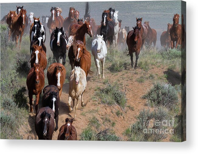 Utah Landscape Acrylic Print featuring the photograph On the Rim #2 by Jim Garrison