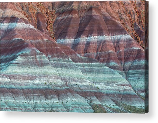 Landscape Acrylic Print featuring the photograph Paria Canyon by Chuck Jason