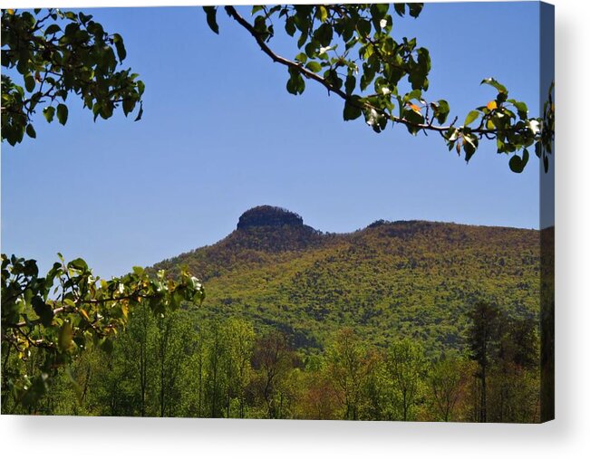 Pilot Mountain Acrylic Print featuring the photograph Pilot Mountain in Spring Green #1 by Kathryn Meyer