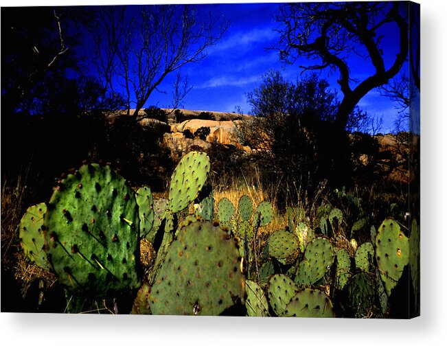 Landscapes Acrylic Print featuring the photograph Prickly Pears Enchanted Rock Texas #1 by Tom Fant