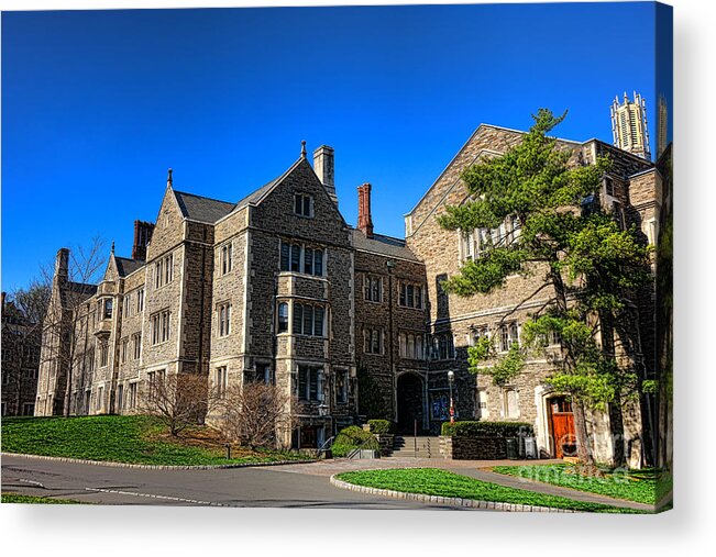 Princeton Acrylic Print featuring the photograph Princeton University Little and Dillon Gym Halls by Olivier Le Queinec