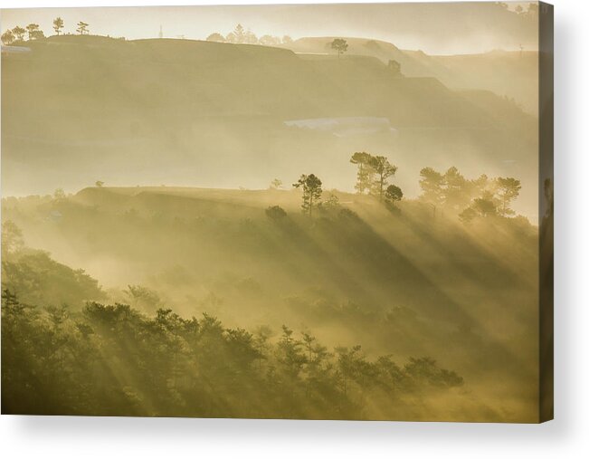 Ray Acrylic Print featuring the photograph Ray #1 by Duc Truc Nguyen