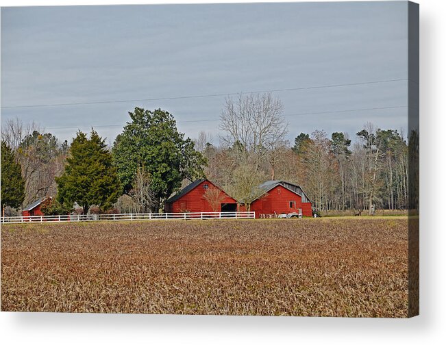 Barns Acrylic Print featuring the photograph Red Barns #1 by Linda Brown