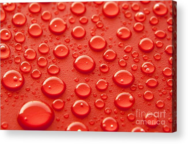 Water Acrylic Print featuring the photograph Red water drops by Blink Images