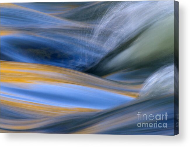 River Acrylic Print featuring the photograph River by Silke Magino