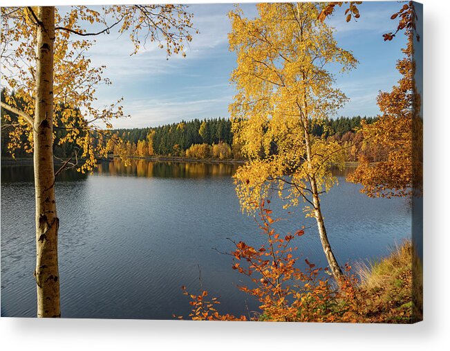Nature Acrylic Print featuring the photograph Saegemuellerteich, Harz #1 by Andreas Levi
