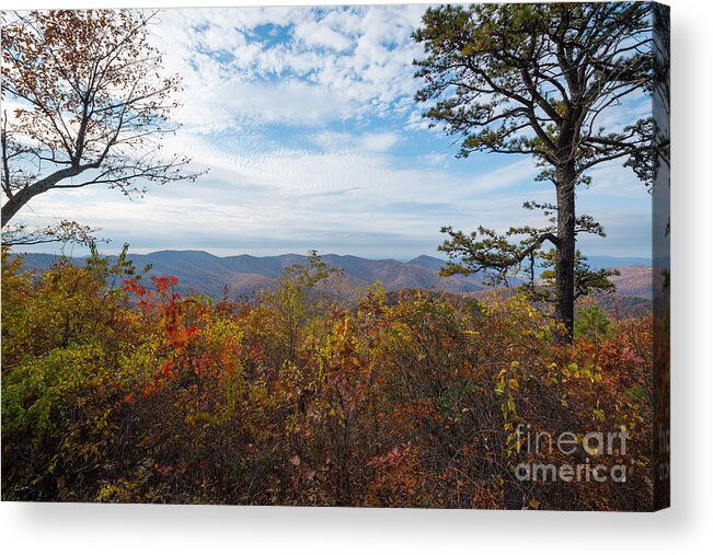 Pinnacles Overlook Acrylic Print featuring the photograph Shenandoah National Park in Autumn #1 by Michael Ver Sprill