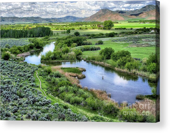 Silver Creek Acrylic Print featuring the photograph Silver Creek Preserve #1 by Roxie Crouch