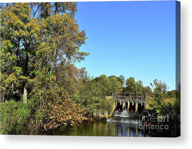 Plants Acrylic Print featuring the photograph Spillway #1 by Skip Willits