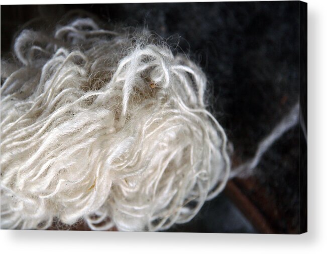Spun Acrylic Print featuring the photograph Spun Wool #1 by Joanne Coyle