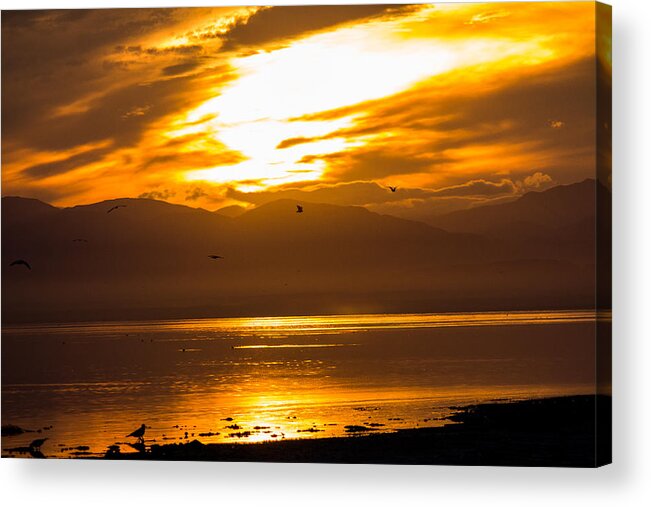 Sunset Acrylic Print featuring the photograph Sunset #1 by Hyuntae Kim