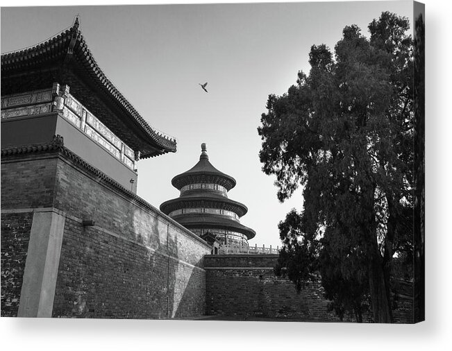 Beijing Acrylic Print featuring the photograph Temple of Heaven VI #1 by Erika Gentry