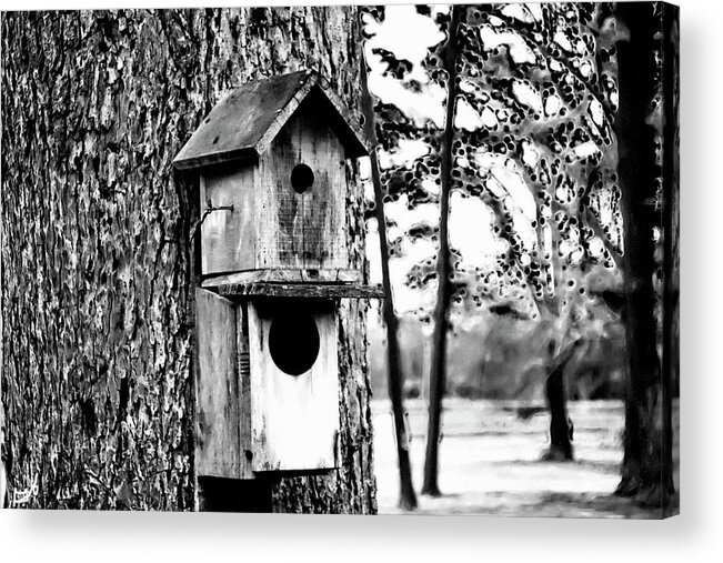 Black And White Acrylic Print featuring the photograph The Bird Feeder #1 by Gina O'Brien