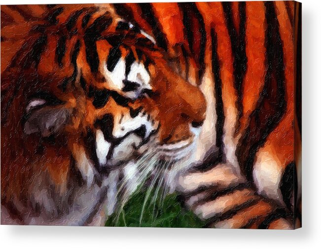 Tiger Acrylic Print featuring the painting Tiger #1 by Prince Andre Faubert