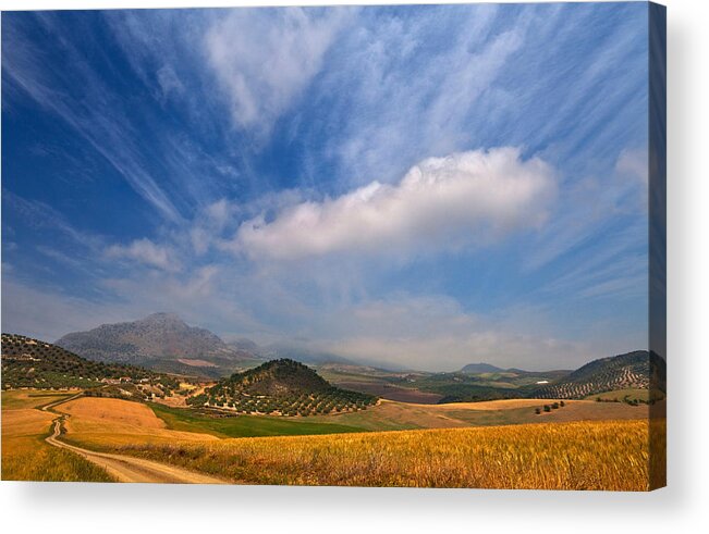 Photography Acrylic Print featuring the photograph Twisty Road, Near Casabermeja, Malaga #1 by Panoramic Images
