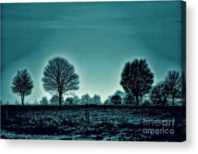 Trees Artistic Acrylic Print featuring the photograph Two Trees #1 by Rick Bragan
