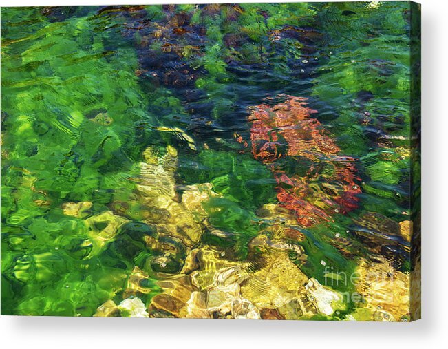 Burgazada Island Acrylic Print featuring the photograph Underwater Color #2 by Bob Phillips