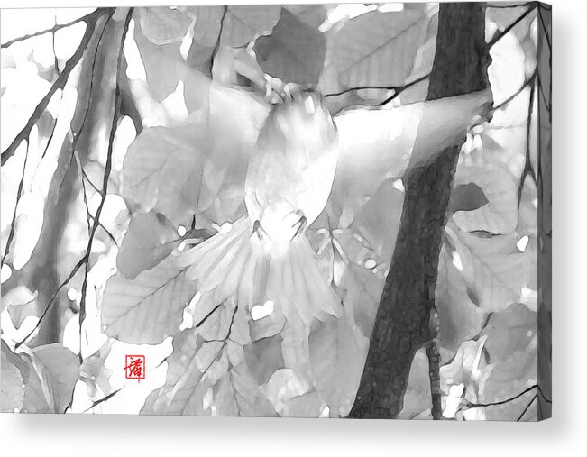 Black And White Acrylic Print featuring the photograph Urge To Fly #1 by John Poon