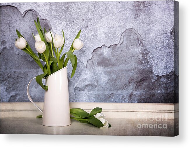 White Acrylic Print featuring the photograph White tulips #1 by Jane Rix
