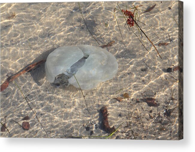 Sea Acrylic Print featuring the photograph Brighton beach #14 by Masami Iida