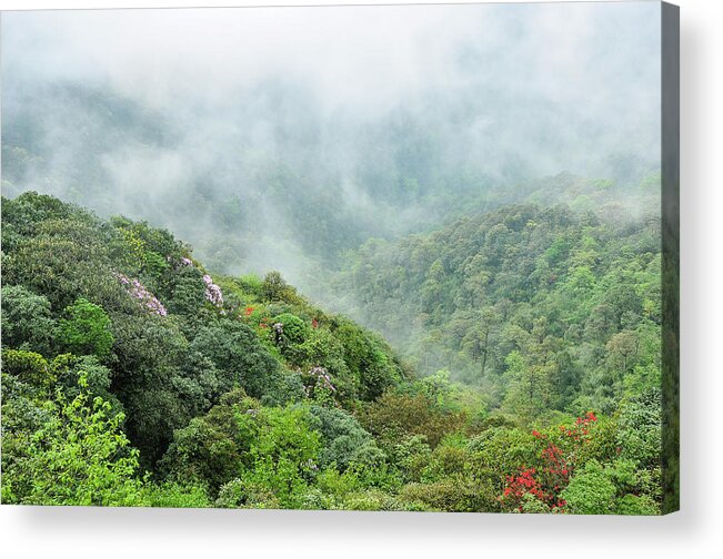Landscape Acrylic Print featuring the photograph Mountain scenery in the mist #16 by Carl Ning