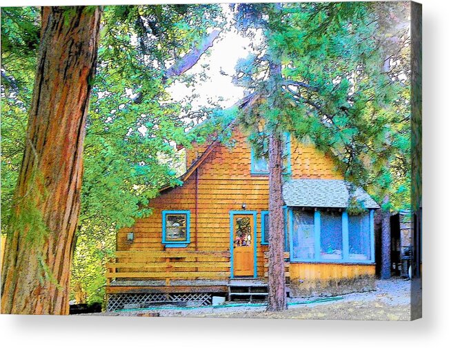  Acrylic Print featuring the photograph Idyllwild - Houses on the Hill #17 by Lisa Dunn