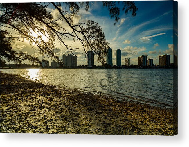 Architecture Acrylic Print featuring the photograph Miami Skyline #18 by Raul Rodriguez