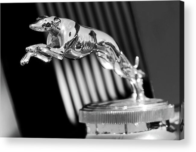 1930 Lincoln Berline Acrylic Print featuring the photograph 1930 Lincoln Berline Hood Ornament by Jill Reger